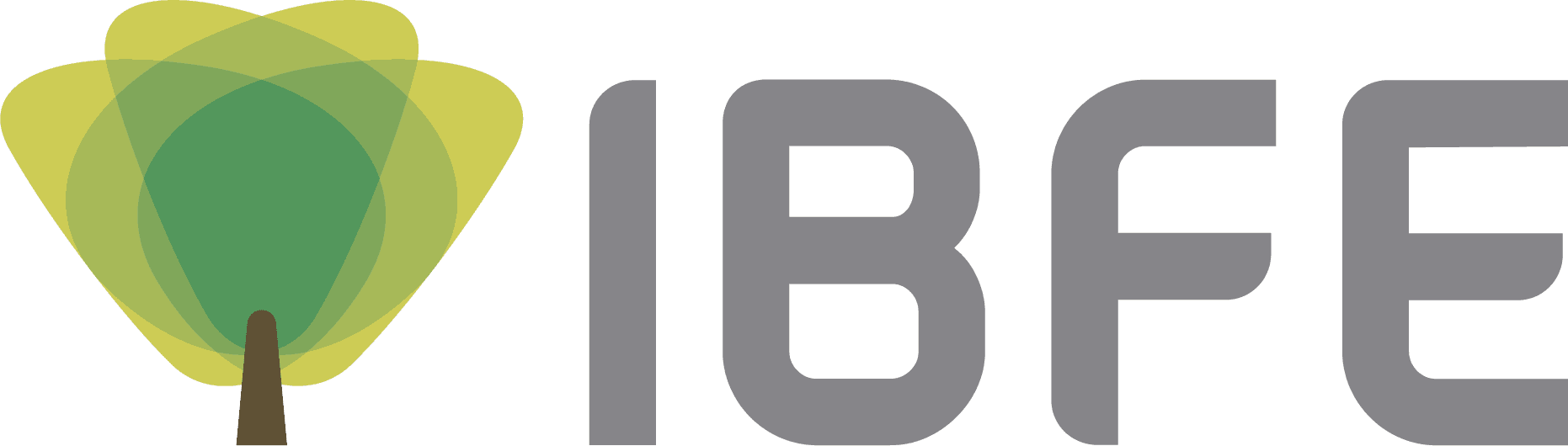 IBFE
